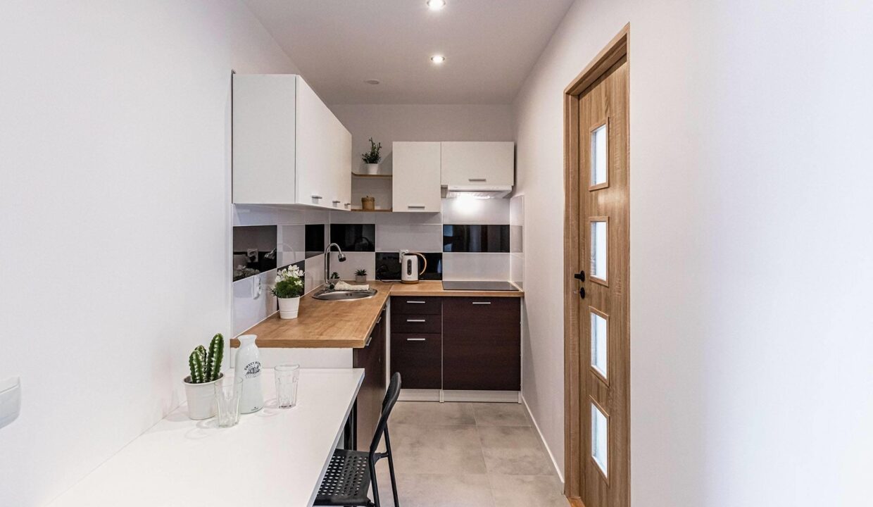 56472459_2299220707068714_7907038528557547520_n (Copy)