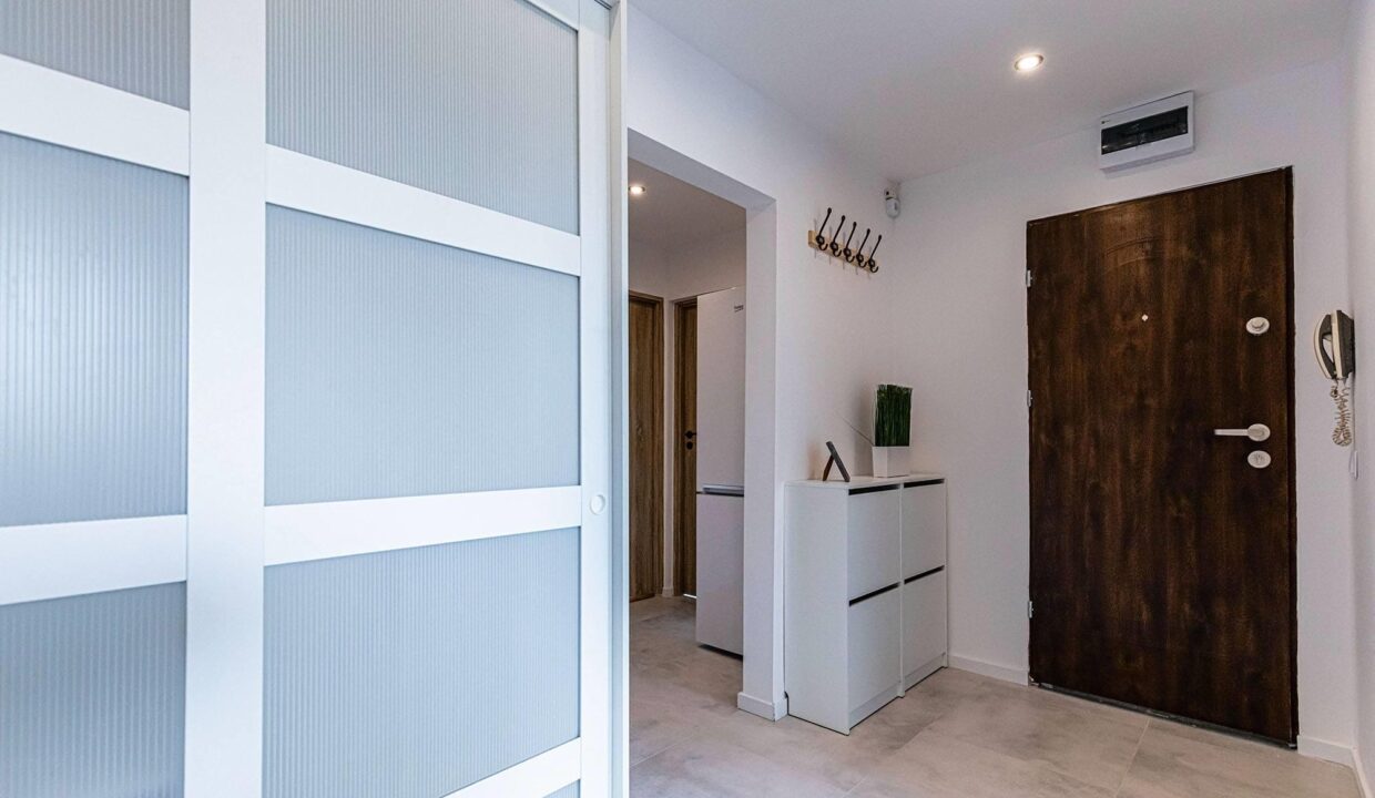 56606279_270480390555681_2320130265168478208_n (Copy)