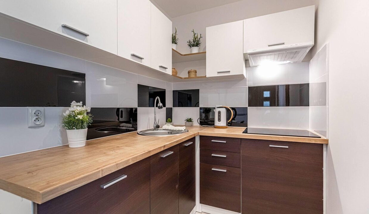 56790874_407414263325202_7836459571500548096_n (Copy)