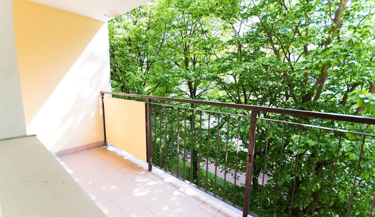 DSC_003111111 (Copy)