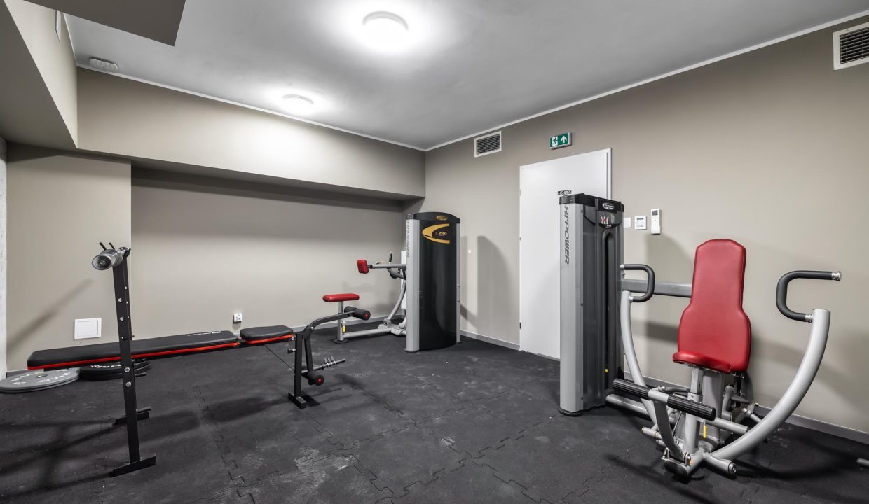 Saski Point_BIG-2 (Copy)