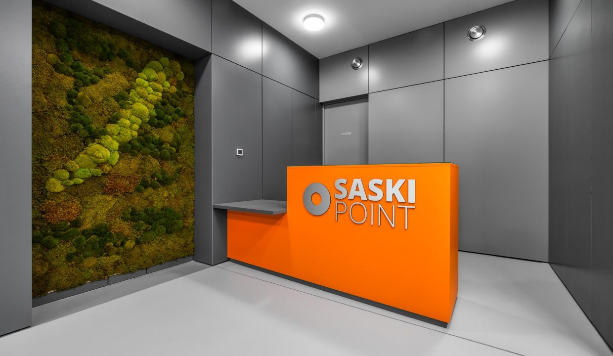 Saski Point_BIG-7 (Copy)